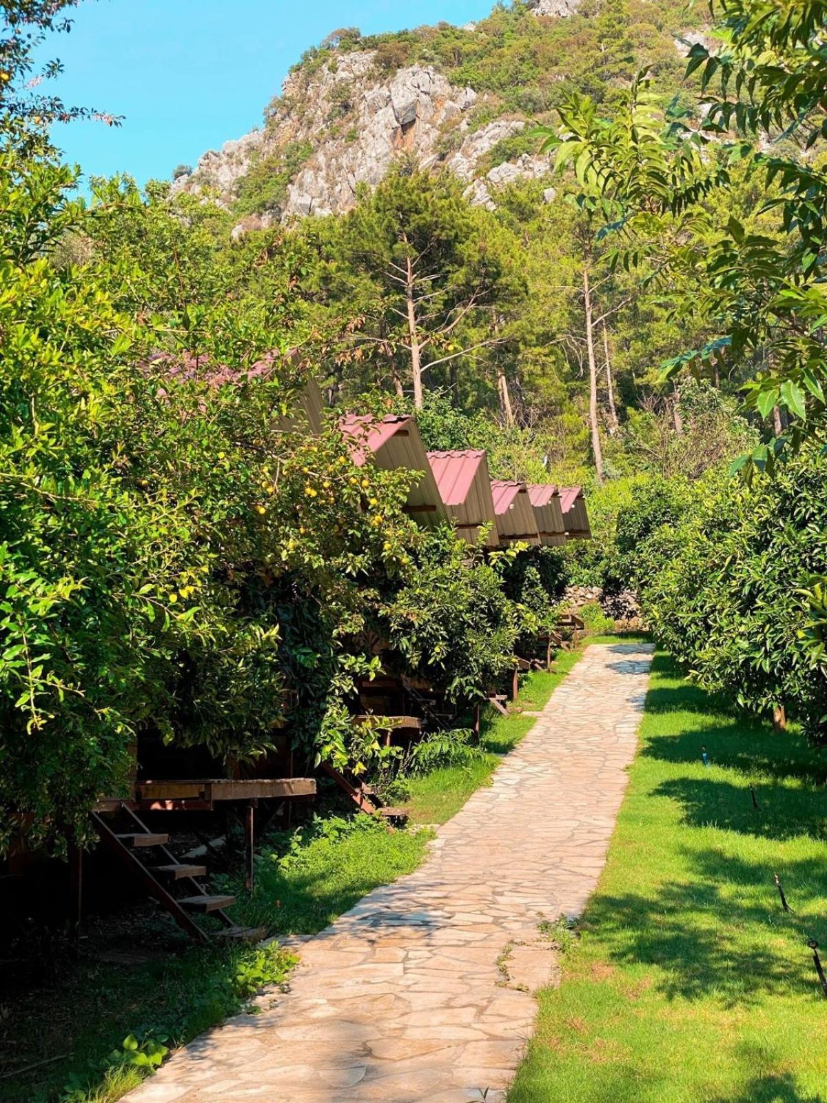 Olympos Camlik Pension Kültér fotó