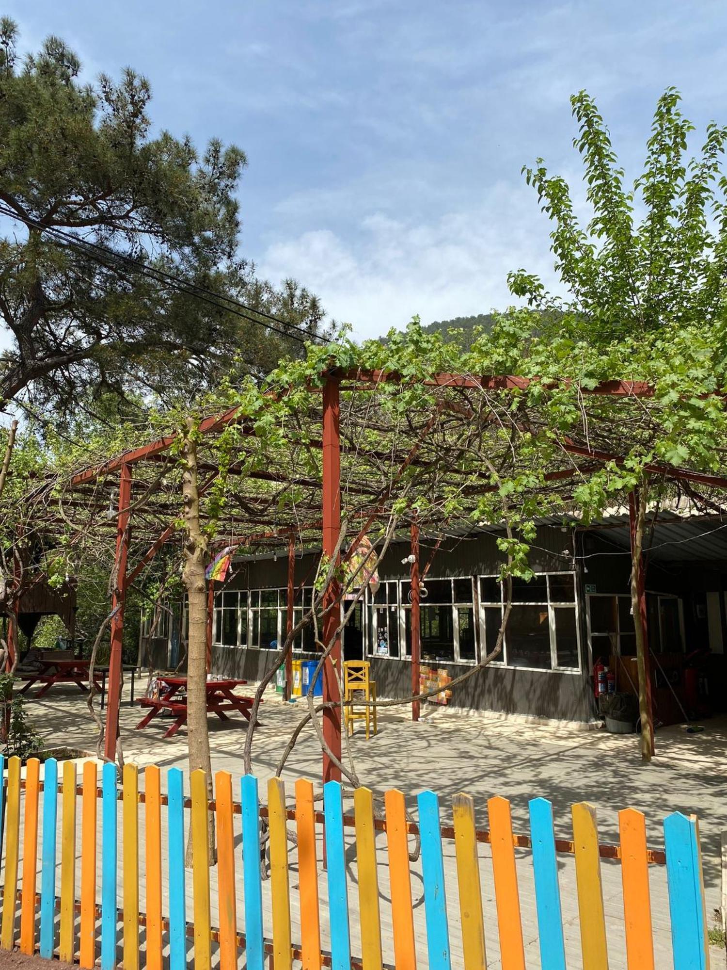 Olympos Camlik Pension Kültér fotó