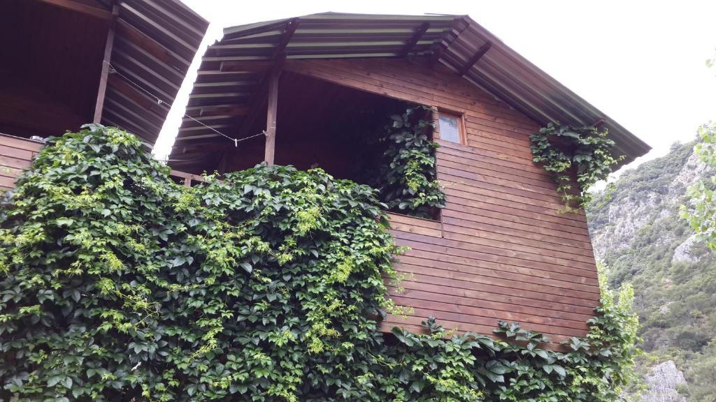 Olympos Camlik Pension Kültér fotó