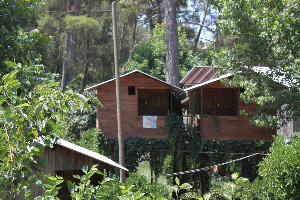 Olympos Camlik Pension Kültér fotó