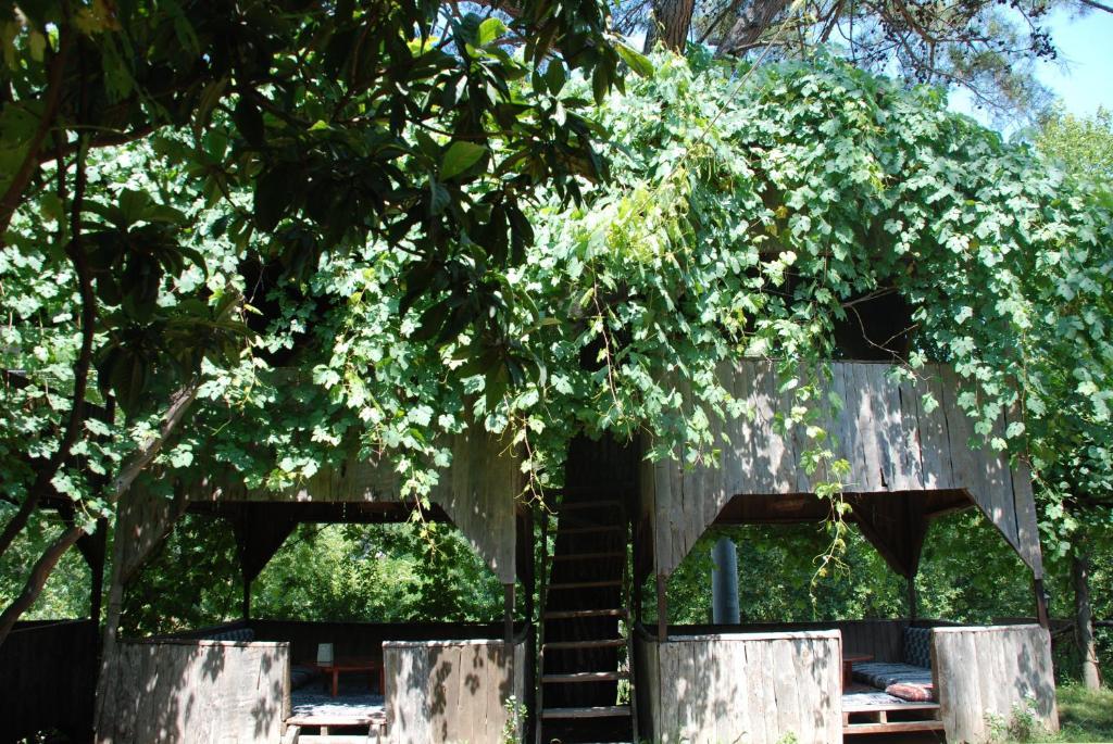 Olympos Camlik Pension Kültér fotó
