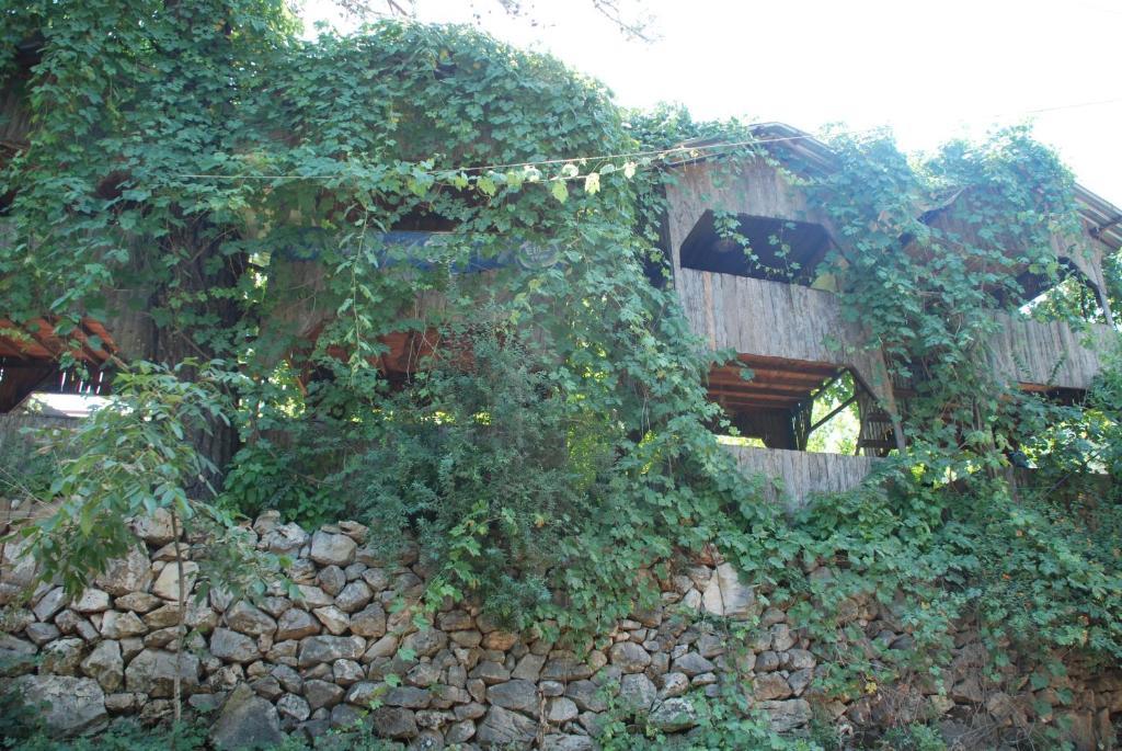 Olympos Camlik Pension Kültér fotó