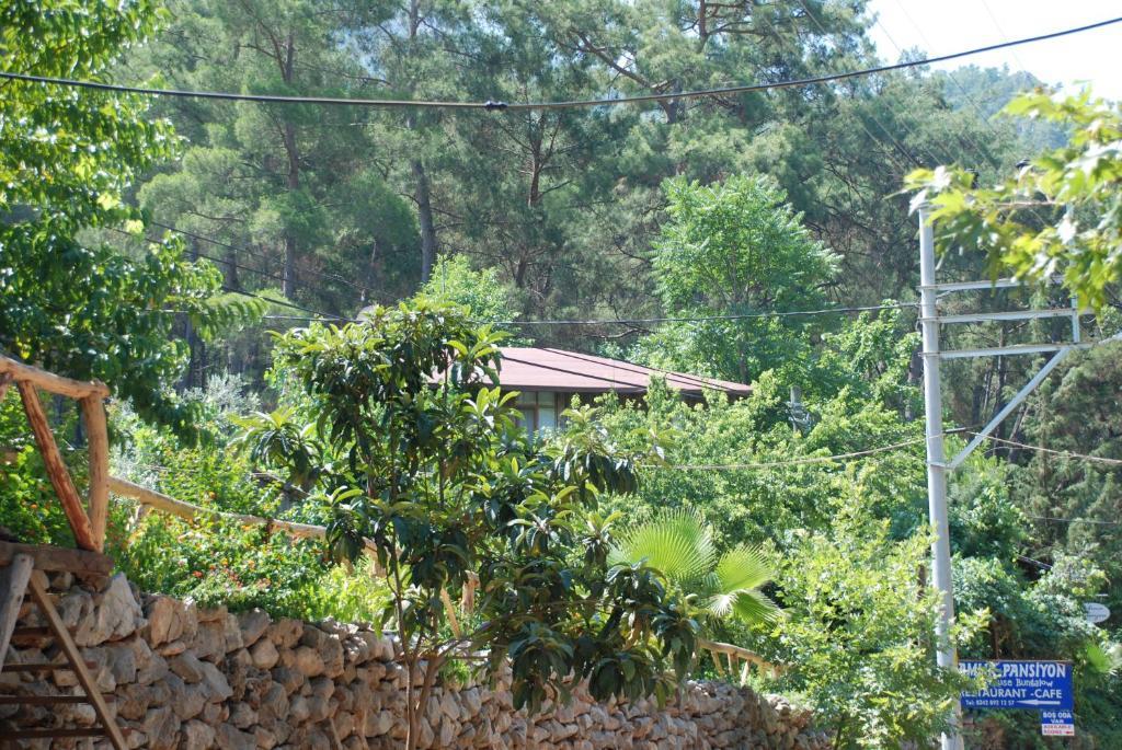 Olympos Camlik Pension Kültér fotó